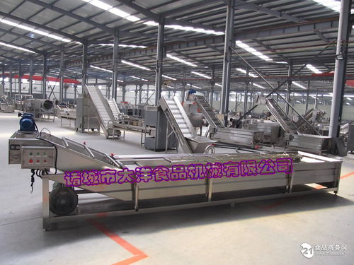 自動海帶清洗機 裙帶菜清洗機械價格,產(chǎn)品報價